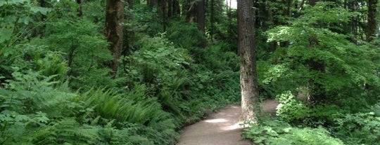 Forest Park - Wildwood Trail is one of Portland To Do.