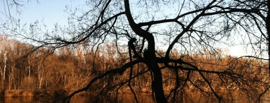 Robious Landing Park is one of RVA parks.