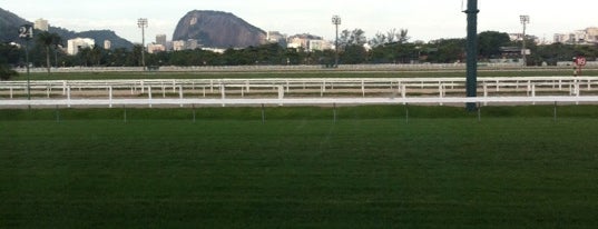 Jockey Club Brasileiro is one of RIO DE JANEIRO- BRAZIL.