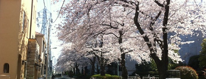 呑川緑道 is one of 呑川.