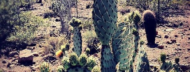 Desert Botanical Garden is one of Phoenix 2017 - The Tourist.