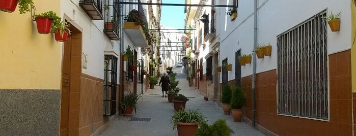 Alameda is one of Los 101 municipios de la provincia de Málaga.