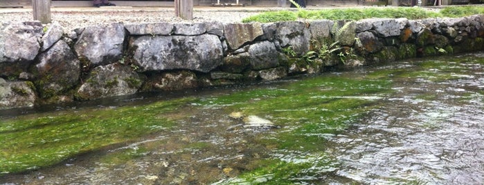 醒井宿資料館 is one of 近江 琵琶湖 若狭.