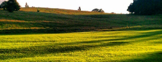 Hampstead Heath is one of London Town!.