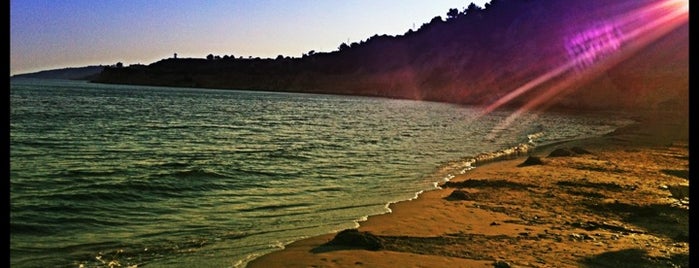 Trapezaki Beach is one of Tempat yang Disukai Milica.