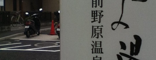 前野原温泉 さやの湯処 is one of お風呂.