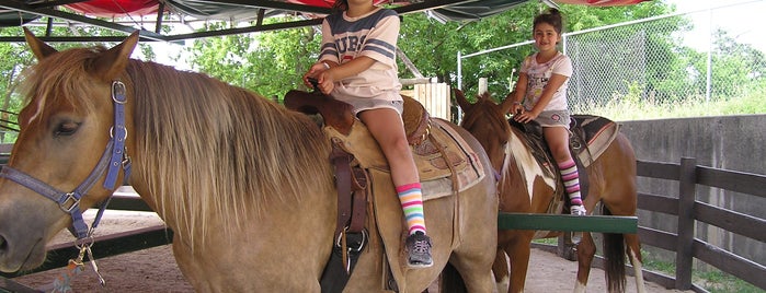 Pony Rides is one of Santa's Village.