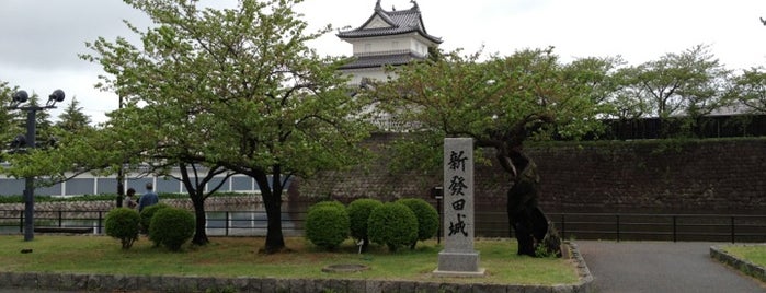 Shibata Castle Ruins is one of 日本100名城.