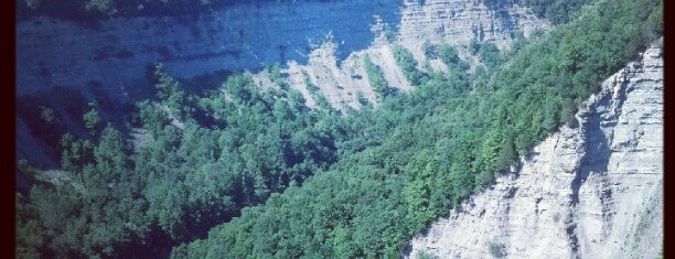 Letchworth State Park is one of Genesee Riverway & Greenway Trails.