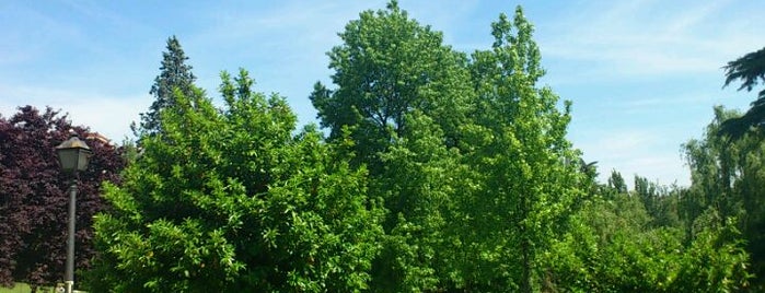 Parque de Berlín is one of Rafael’s Liked Places.