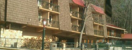 Quality Inn Creekside – Downtown Gatlinburg is one of Thomas’s Liked Places.