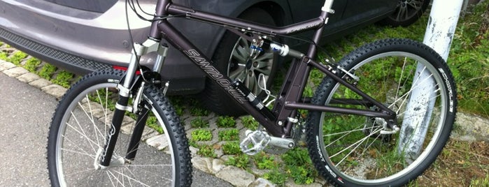 Lerch Cycle Sport is one of Posti che sono piaciuti a Dirk.