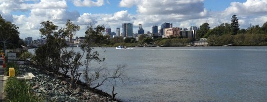 Brisbane River is one of Australian favourites.