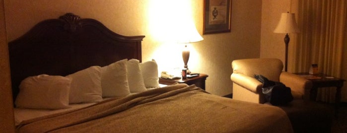 Best Western Plus Steeplegate Inn is one of Posti che sono piaciuti a Sylvia.