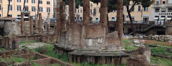 Largo di Torre Argentina is one of Rome wasn't built in day.