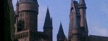 The Wizarding World of Harry Potter - Hogsmeade is one of Olly Checks In.