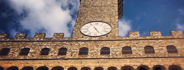 Palazzo Vecchio is one of Firenze.