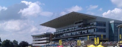 Doncaster Racecourse is one of Horse Racecourses of UK.