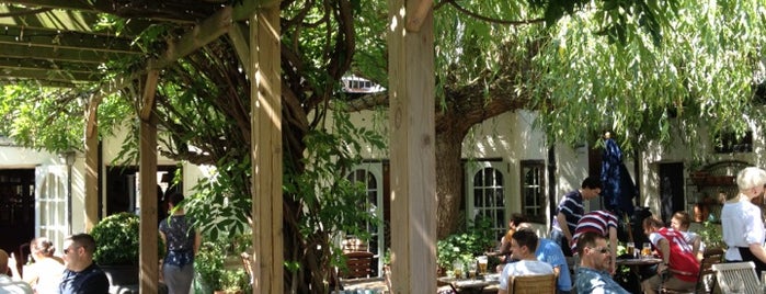 The Albion is one of London's Best Beer Gardens.