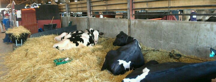 Dairy Cattle Barn is one of Wisconsin State Fair.