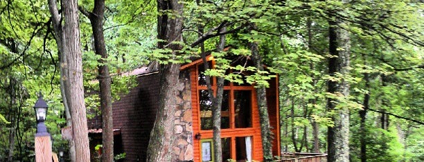 Bearadise Ober Ski Mountain Rental Cabin by Cabin Fever Vacations is one of Home Theater Cabins in the Smokies.