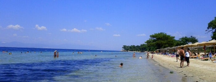 Pachis Beach is one of Greece.