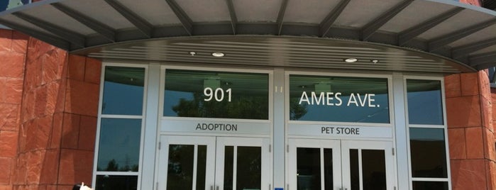 Humane Society of Silicon Valley is one of Lieux qui ont plu à Jared.