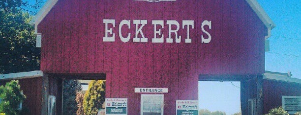 Eckert's Millstadt Fun Farm is one of St. Louis.