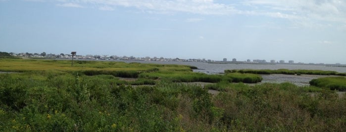 Black Bank (South Marsh) is one of Gateway National Recreation Area.