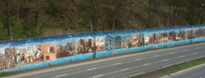 Mural Silva Rerum is one of kreski.