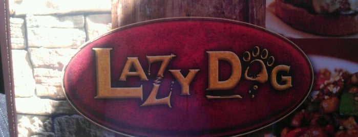 Lazy Dog Restaurant & Bar is one of Favorite restaurants.