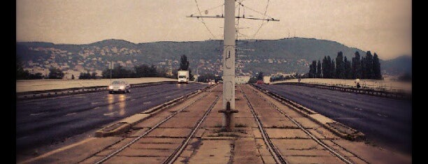 Népfürdő utca / Árpád híd (1) is one of Körúti villamosok.