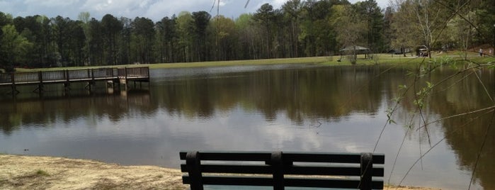Huddleston Pond is one of Peachtree City - Top Get Out of the House Spots.