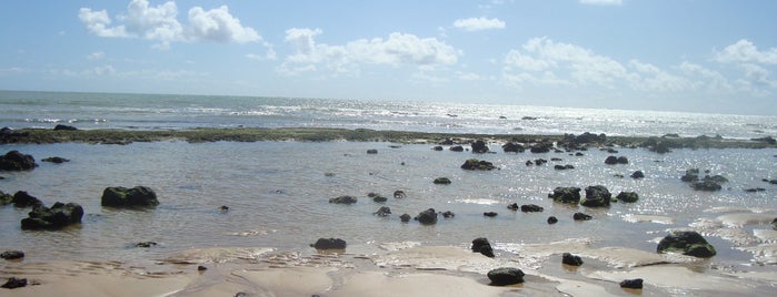 Praia de Baía Formosa is one of Nordeste.