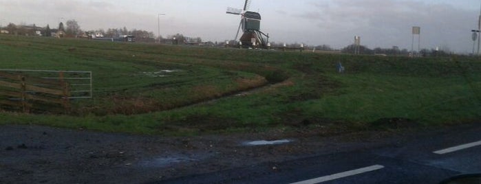 Molen De Bonk is one of Dutch Mills - South 2/2.