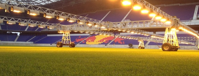Red Bull Arena is one of Professional Athletic Staduims.