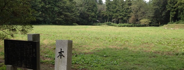 Minowa Castle Ruins is one of 日本100名城.