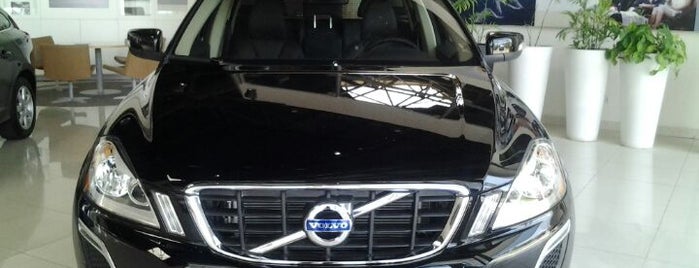 Volvo Showroom is one of Egypt Automotive & Car Care.