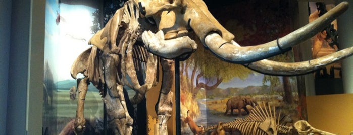 Sam Noble Oklahoma Museum of Natural History is one of Senior Bucket List.