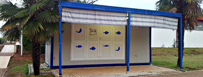 Fish Shop is one of Camping Bijela Uvala.