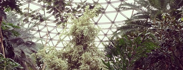 Bloedel Floral Conservatory is one of Vancouver Explore.