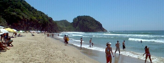 Praia Brava is one of Floripa.