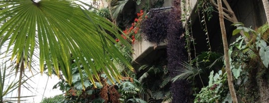 Barbican Conservatory is one of London Attractions.