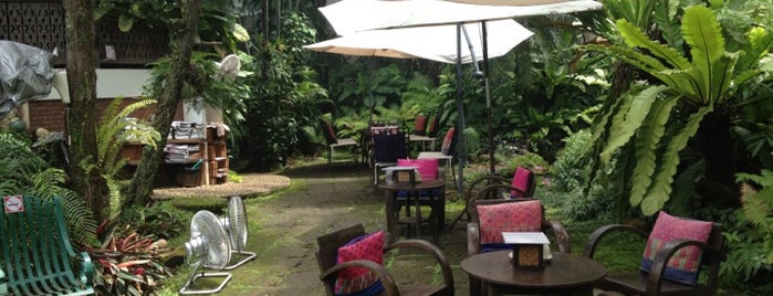 Fern Forest Café is one of CM cafes.