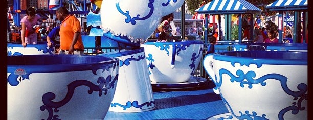 Tea Party is one of Top Picks for having Fun in Coney Island.