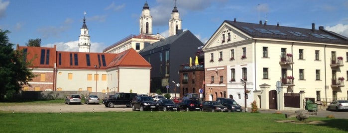 Kaunas is one of Kaunas.
