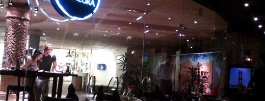 Luna Negra Bar & Restaurant is one of Y.