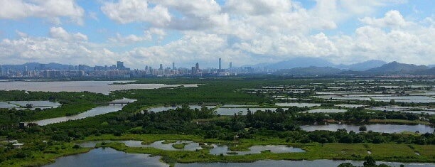 Hong Kong Wetland Park is one of Hong Kong.