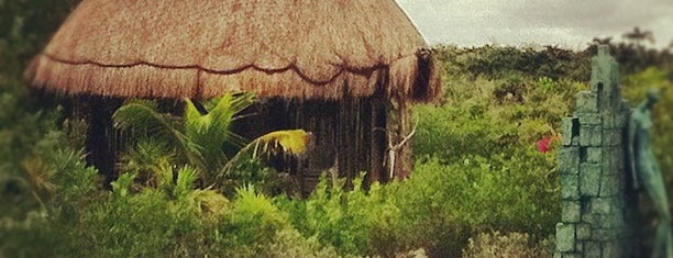 Caleta Yalku is one of México (Riviera Maya).