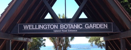 Wellington Botanic Garden is one of The coolest little capital in the world.